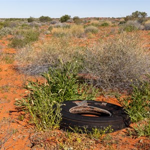 Old Aircraft Tyre
