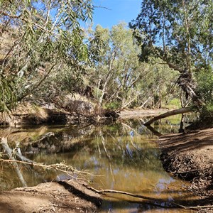 Mussel Pool Camp 62