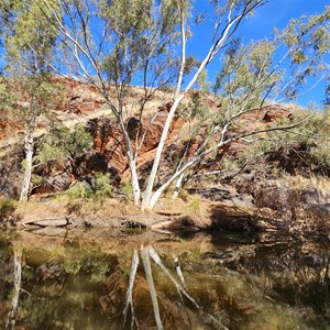 Mussel Pool Camp 62