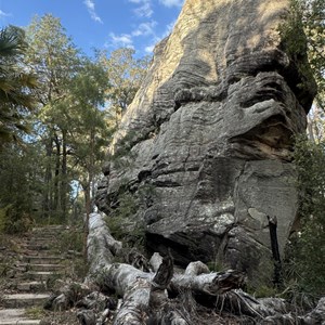 Goon Goon Dhina Walking Track