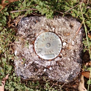 Round mountain survey marker