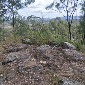 Round Mountain Summit facing West hiking trail... 4/9/2020