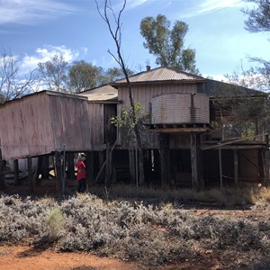Thrushton Homestead camp