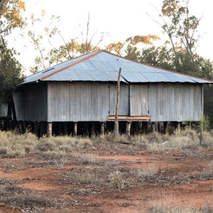 Thrushton Woolshed Camp