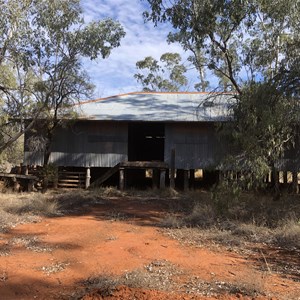 Thrushton Woolshed Camp