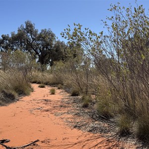 Camping Area