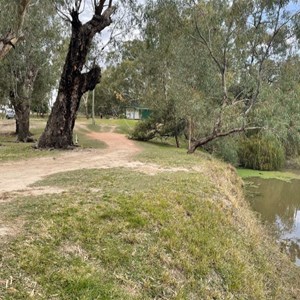 Billabourie Riverside Tourist Park