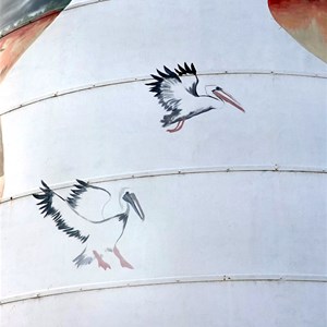 Paringa Silo Art