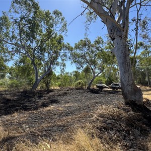 Nicholson River Camp