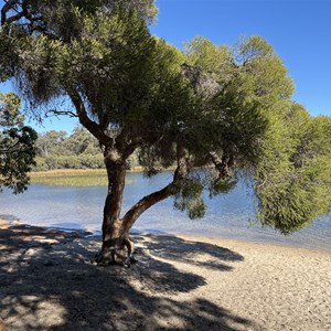 Lake Leschenaulta Camp Ground