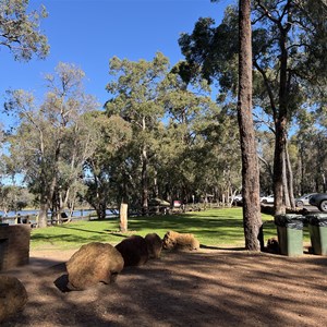 Leschenaultia MTB Trails