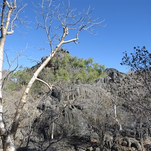 Limestone outcrop