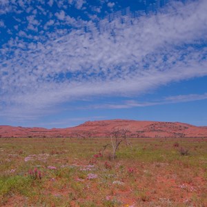 Mount Barnet