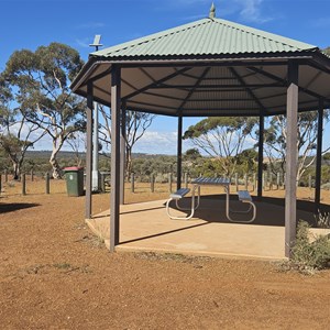 Lions Lookout