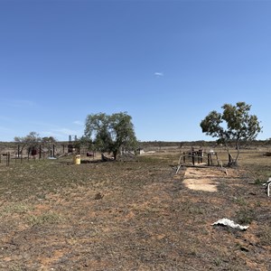 Abandoned shearing shed