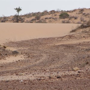 Encroaching dune