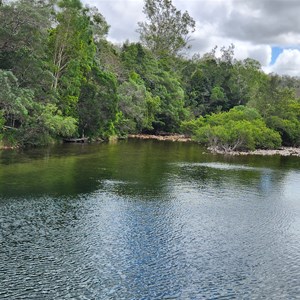 Paradise Pool