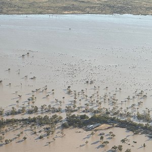 Amid a sea of water