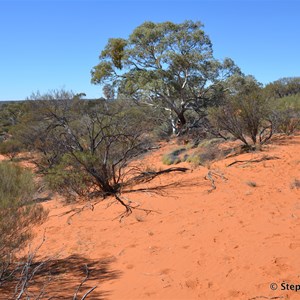 The top of this sand dune is Voakes Hill