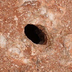 Small sinkhole or blowhole at Ooldea, 26 May 2018