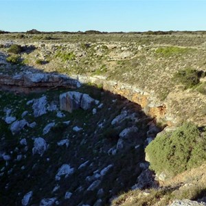 Wigunda Cave - Pomaderris forrestiana 