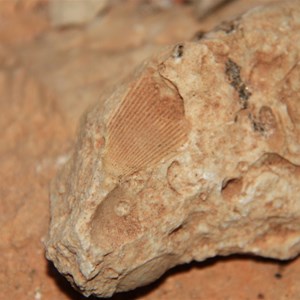 Close-up view of karst limestone