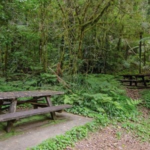 Brindle Creek Picnic Area