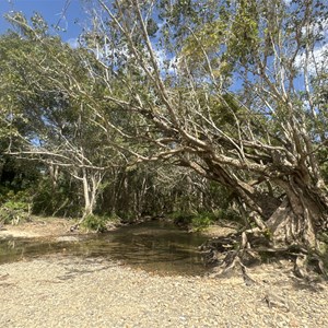 Ross & Locke Rest Area