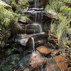 Two Mile Creek Lookout