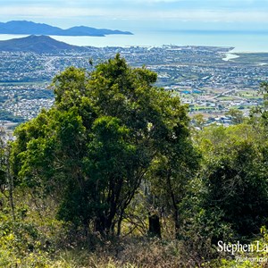 Mount Stuart Lookout