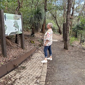 Mount Archer Lookout