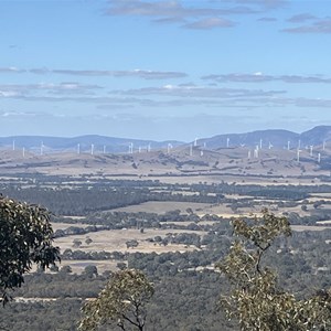 One Tree Hill Lookout