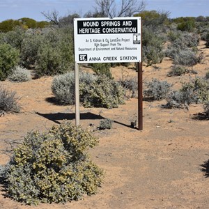 Strangways Springs (Ruin) 