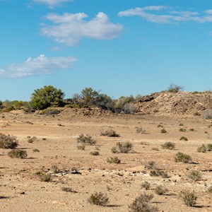 Strangways mound spring walk panorama #2 (2019)