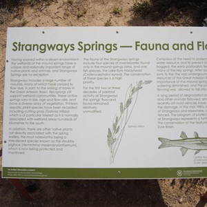 Strangways Springs Sep 2011