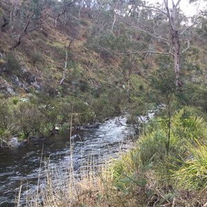 Marrangaroo campground