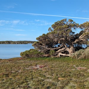 Picnic Area