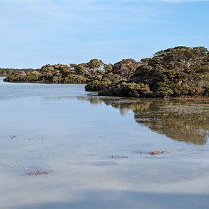 Picnic Area