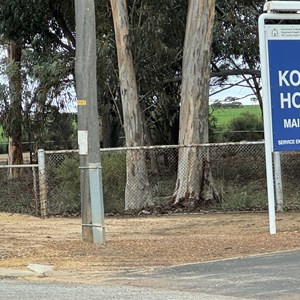 Kondinin Hospital