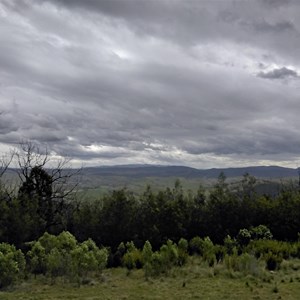 One tree Hill lookout