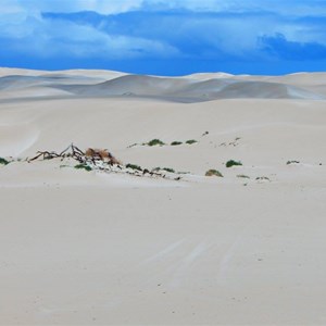 Fowlers Bay Sand Dunes