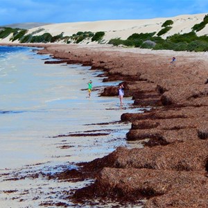 Fowlers Bay Beach