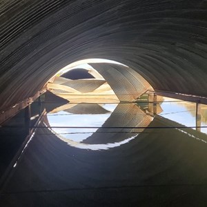 Bookaloo