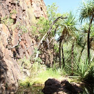 Butterfly Cave