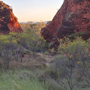 Demboong banan Lookout