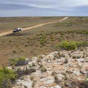 Marree Cliff 