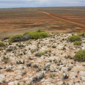 Marree Cliff 