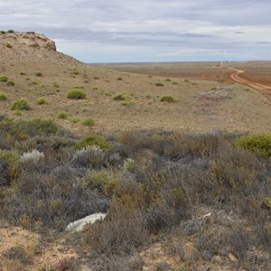 Marree Cliff 