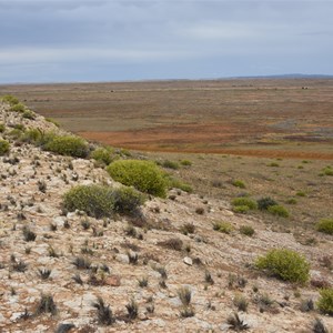 Marree Cliff 