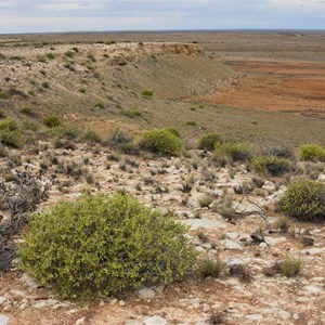 Marree Cliff 